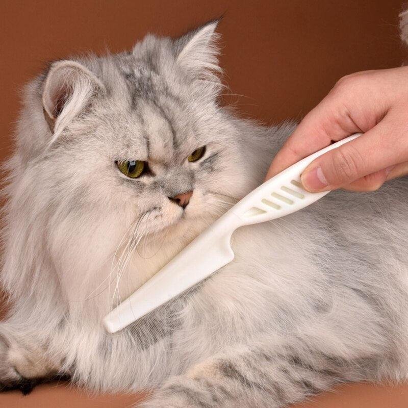 Stainless Steel Flea Comb for Dog and Cat Dense Tooth Hair Removal Brush Cat and Dog Accessory - Image 4