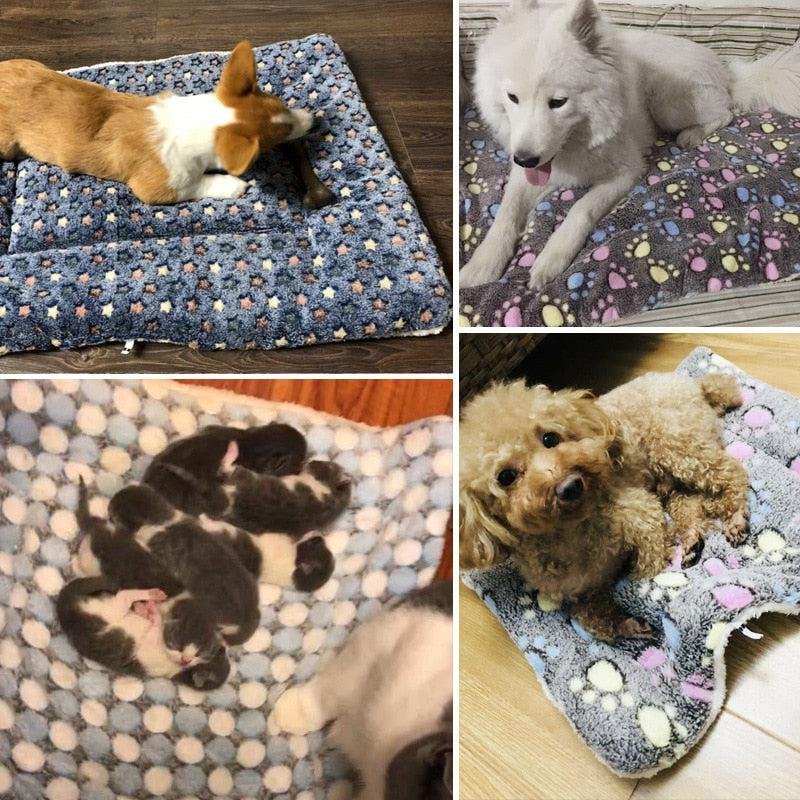 Cozy sleeping mat. fleece blanket. litter box and comfortable mattresses for dogs of all sizes - Image 19