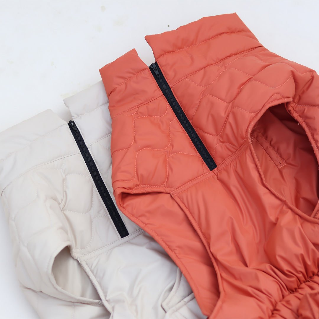 New Quilted Dog jacket Ecru - Image 7