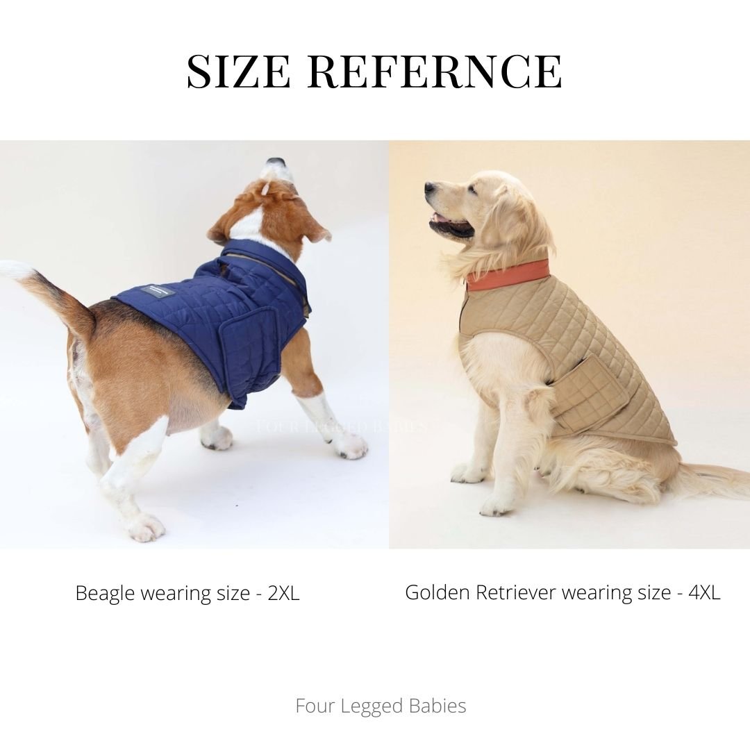 New Quilted Dog jacket black - Image 5