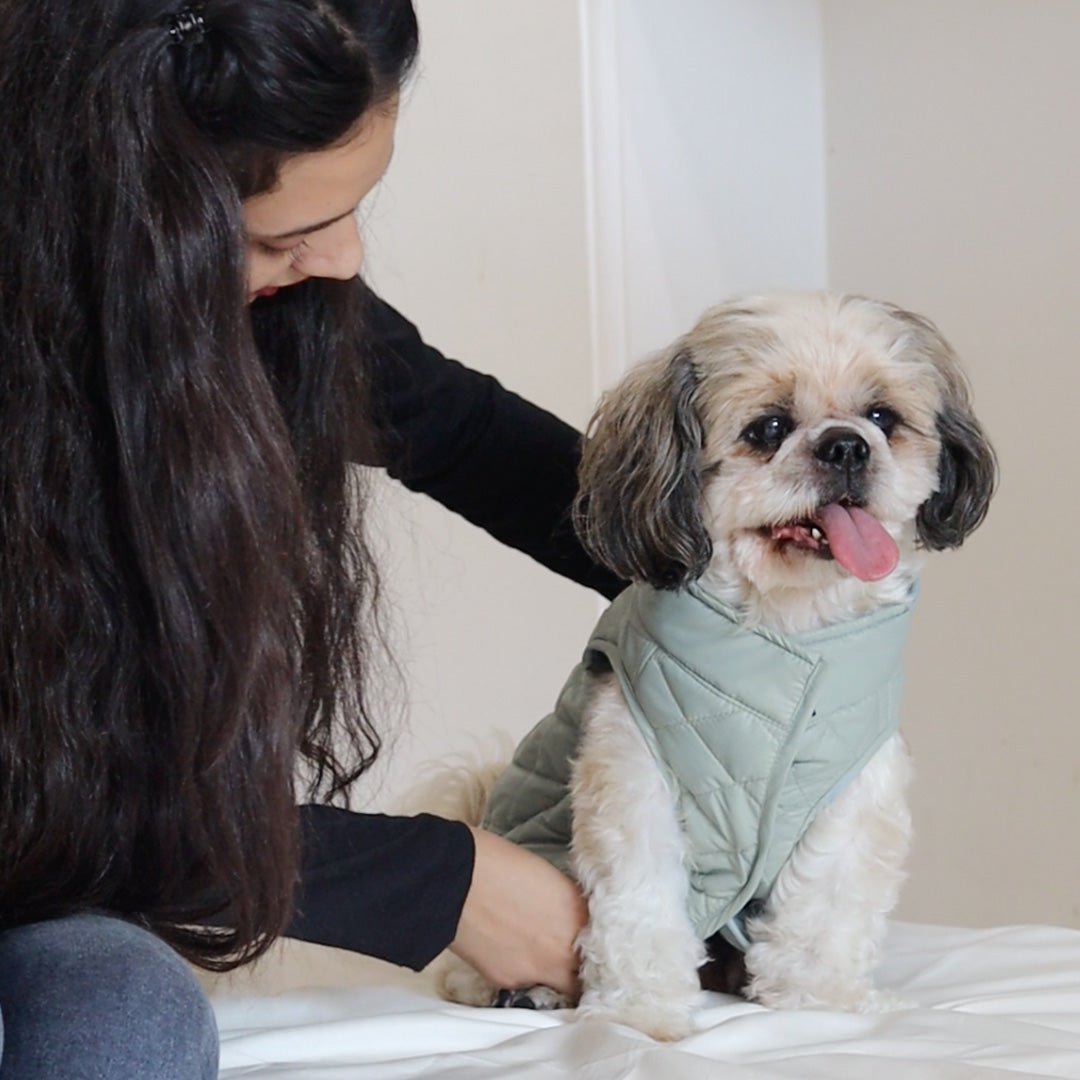 New Pistache Packable Quilted Dog jacket - Image 6