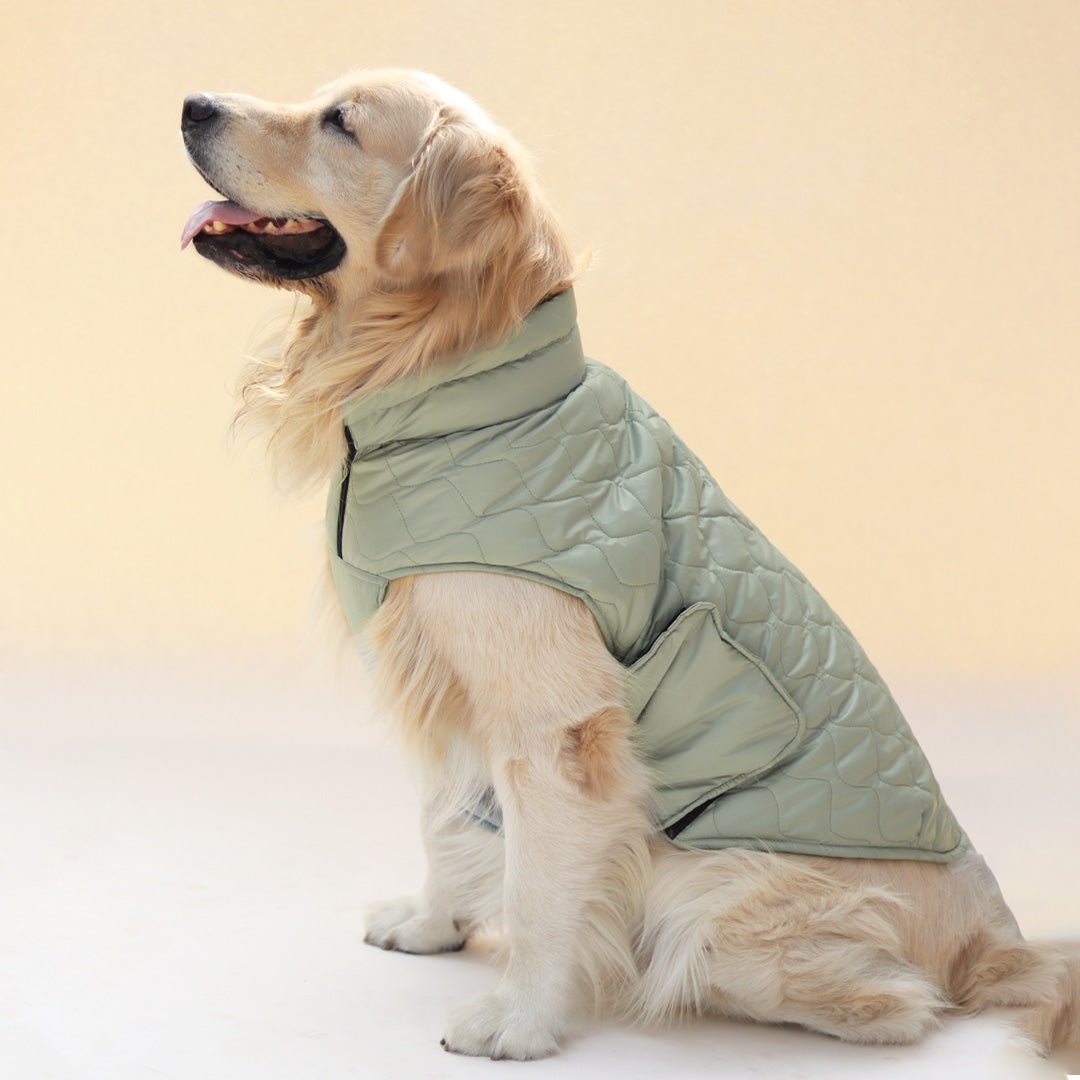 New Quilted Dog jacket Pistache - Image 5