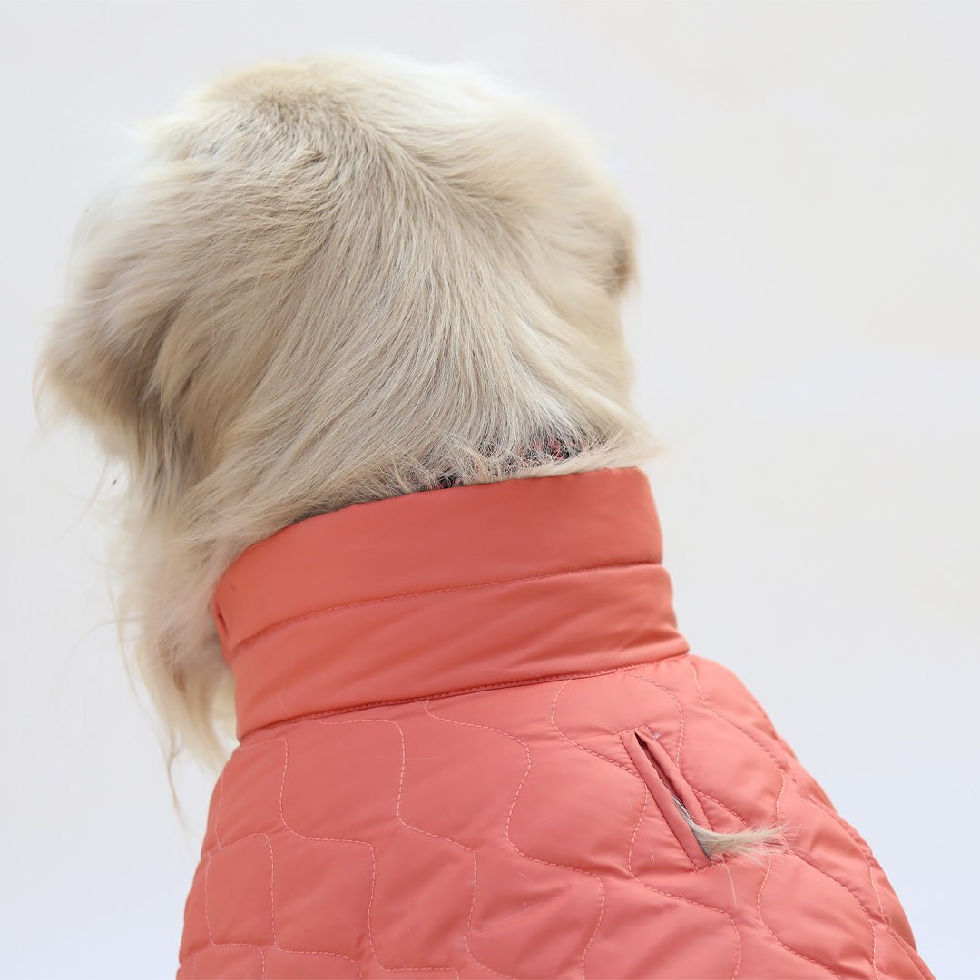 New Quilted Dog jacket Mid Orange - Image 5