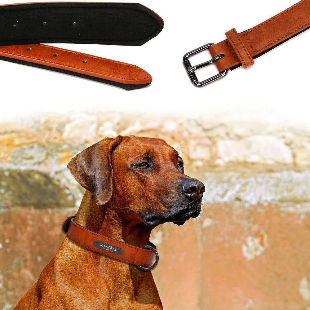 Luxury Personalized Leather Collar for Large and Small Dogs. Personalized Leather Collar with Engraved Name - Image 4