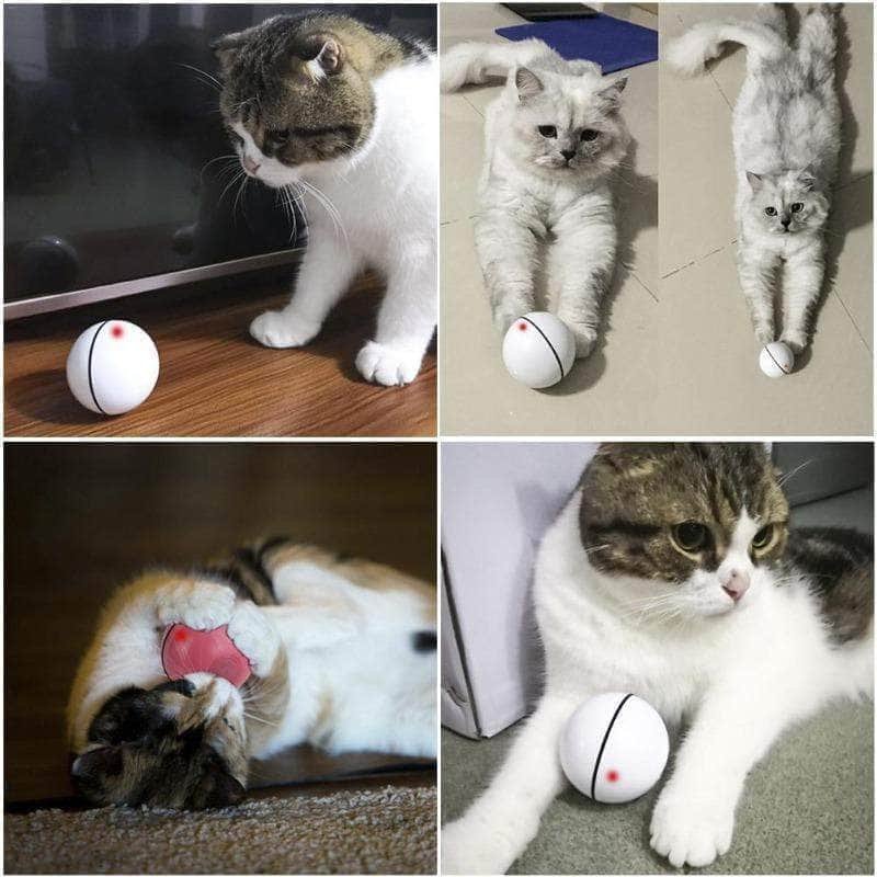 Jumping ball interactive toy for cat kitten random movement