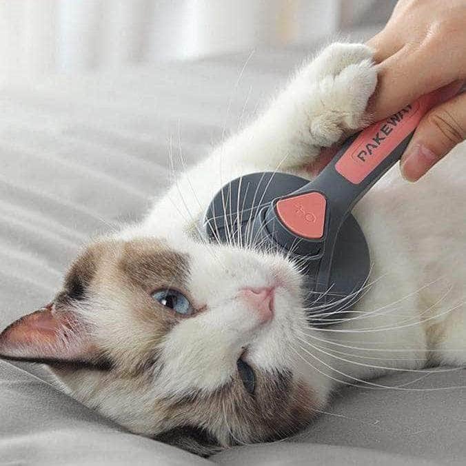 Self-cleaning brush with special needles for cat dog pet comb