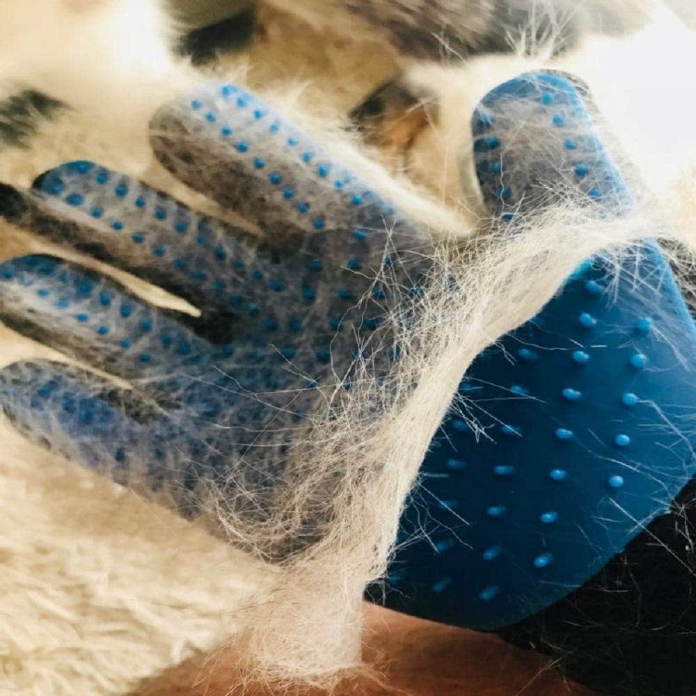 Grooming glove for cats and dogs - Image 3