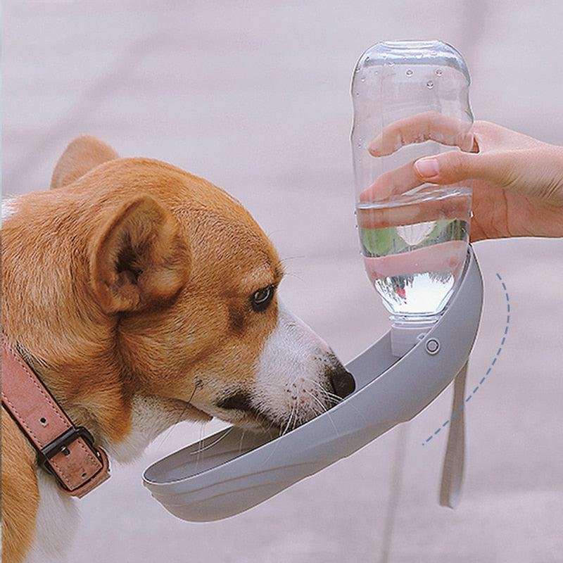Petmonde-Gourde-Portable-avec-Distributeur-dEau-pour-Animaux-Domestiques-Ideale-pour-les-Promenades-Convient-pour-Chien-et-Chat-550ml-bleu-Petmonde-2.jpg