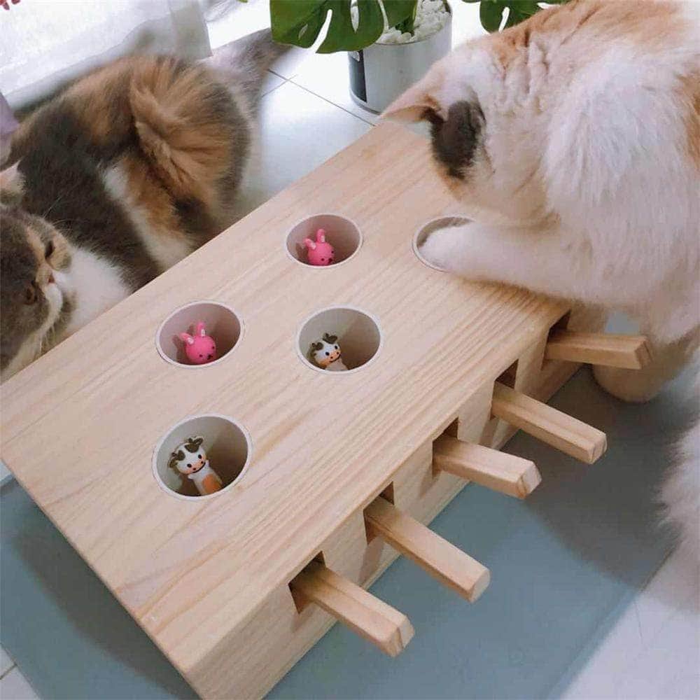 Petmonde-Jouet-interctif-pour-chat-jeu-de-la-taupe-pour-chaton-chat-Petmonde-2.jpg
