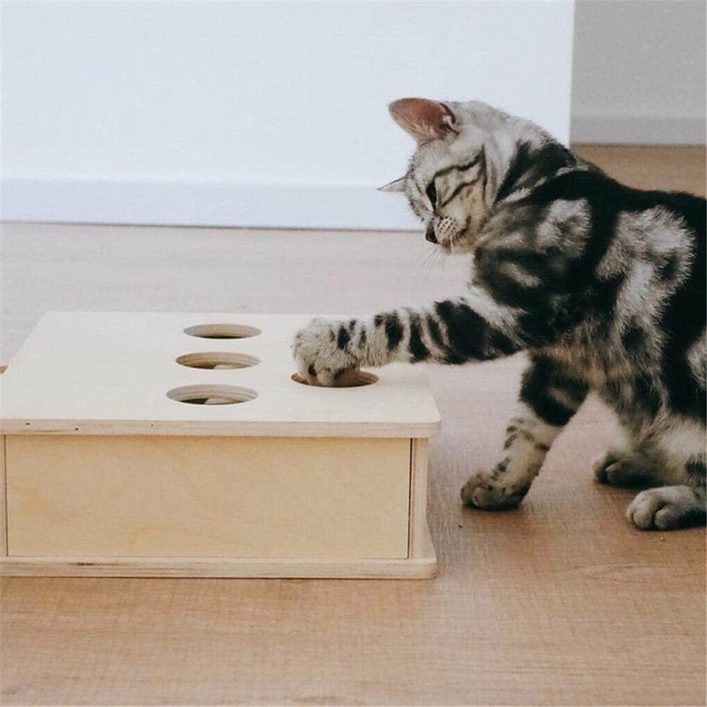 Interctive toy for cat mole game for kitten - Image 4