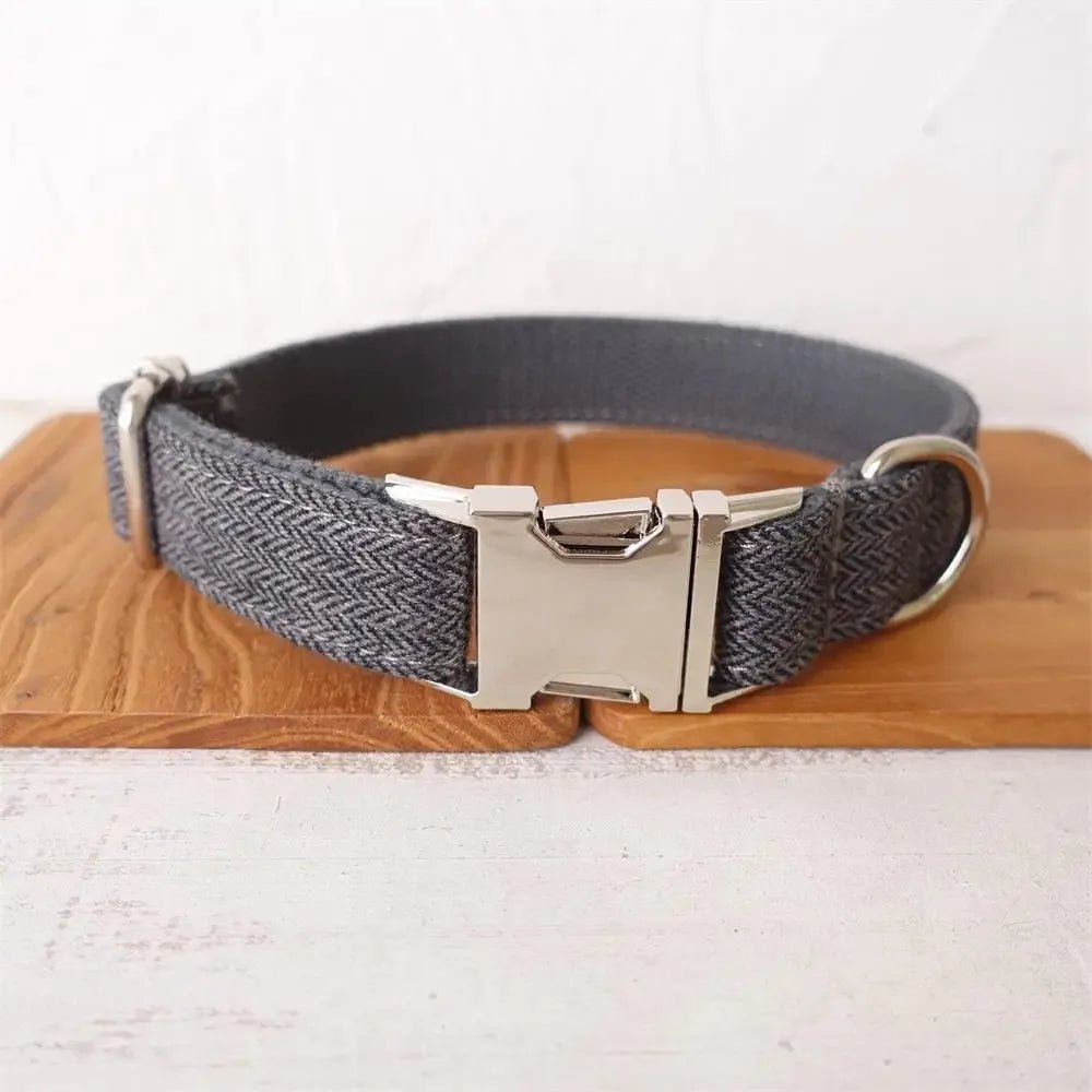 Personalized Dog Collar with Free Engraving. Identification Tag. Pet Accessory - Image 5