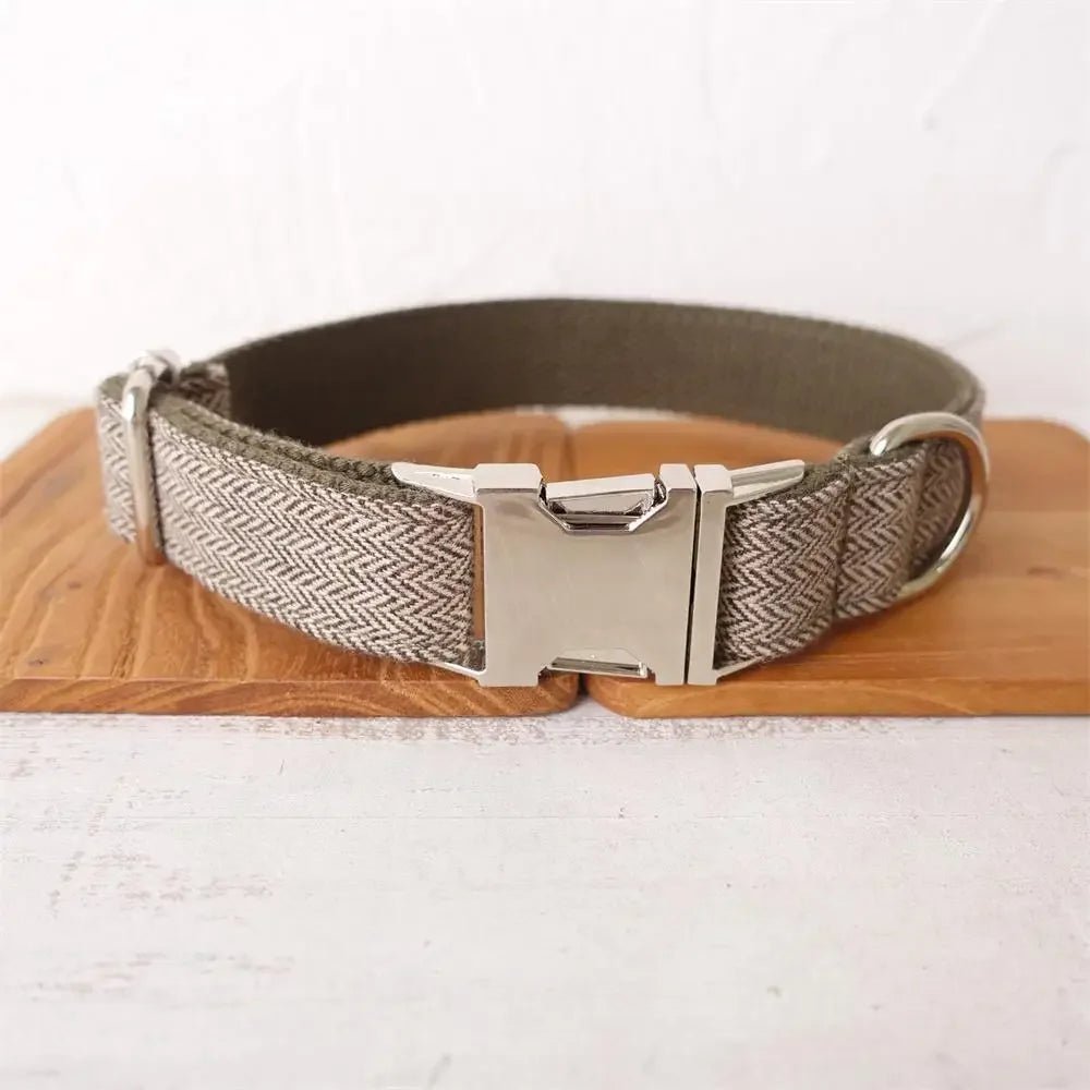 Personalized Dog Collar with Free Engraving. Identification Tag. Pet Accessory - Image 4