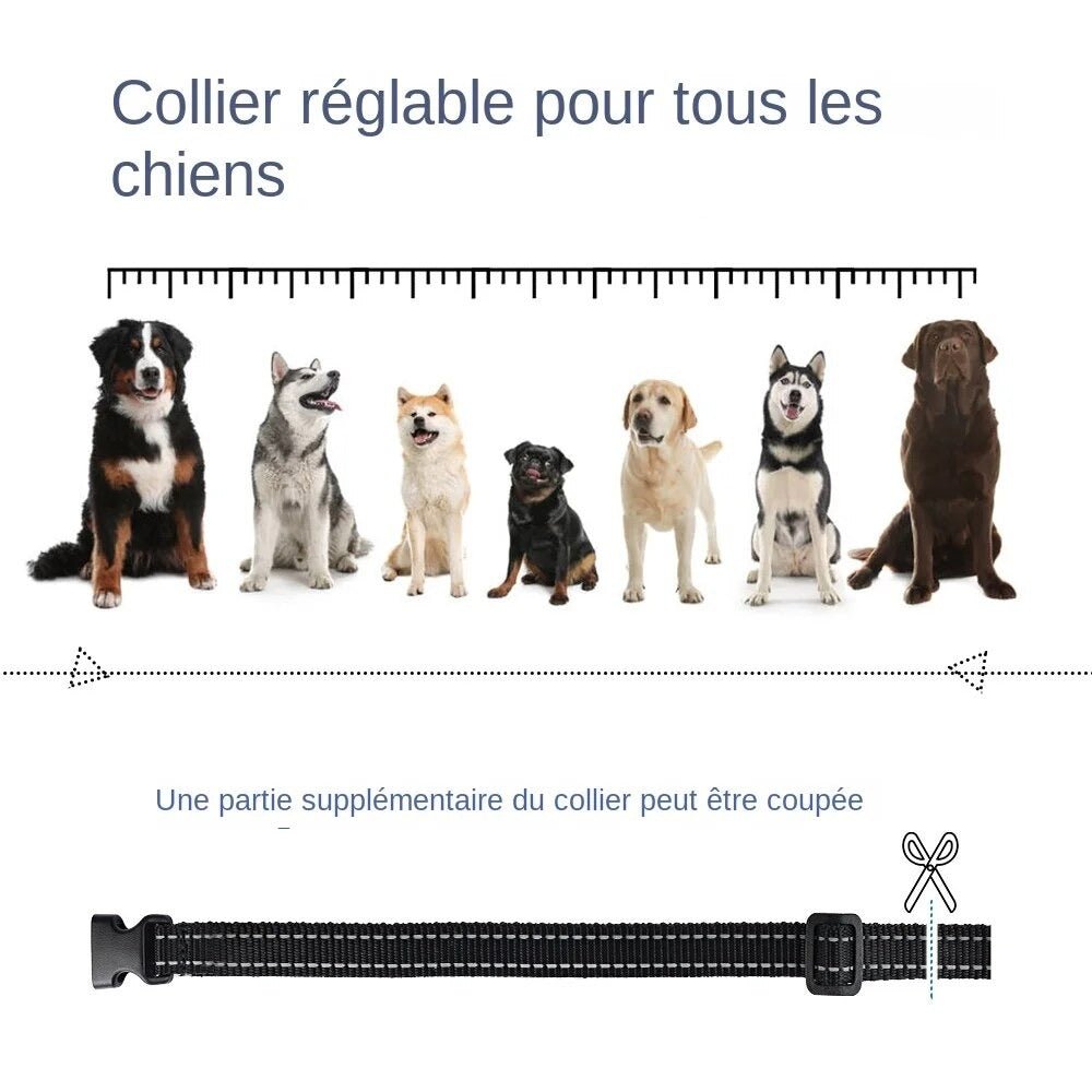 Electric training collar for dogs. range of 800 meters. waterproof IP7. with remote control - sound mode and electrical stimulation - Image 3