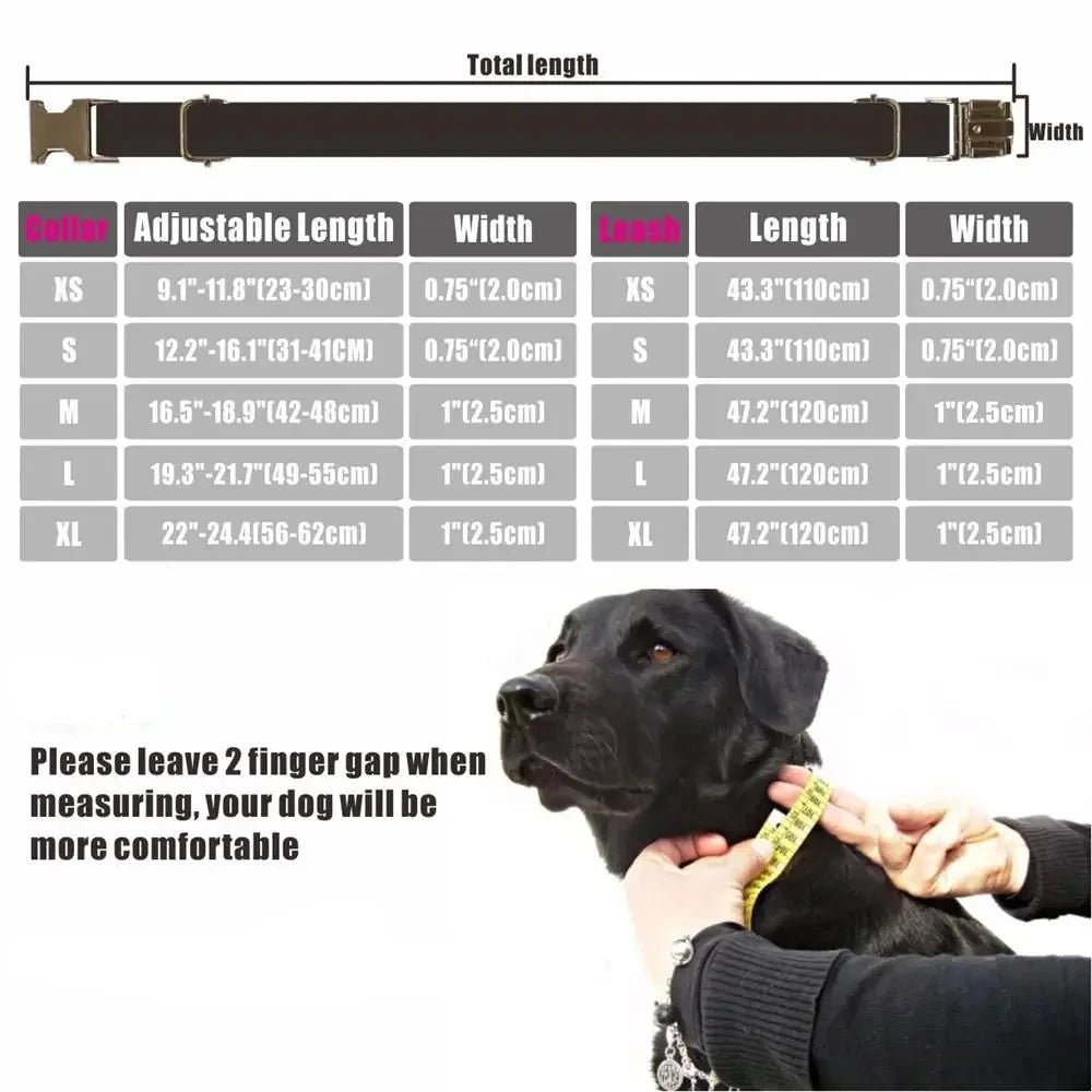 Personalized Dog Collar with Free Engraving. Identification Tag. Pet Accessory - Image 3